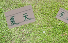 申花領(lǐng)先6分，國安續(xù)約烏，夏窗靜待。