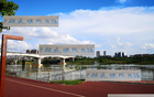 中超頭號難防前鋒，青島外援勝出，非海港萊納多，乃申花米內(nèi)羅。