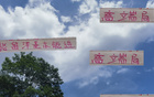 張玉寧高天意，國安申花精英；留洋進國家隊，實力非凡。