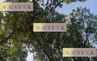 海港青春風(fēng)暴，李新翔領(lǐng)銜，大連賽進(jìn)球助攻亮眼！