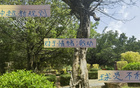 中超新規(guī)不利申花特謝拉，需調(diào)整隊(duì)長或增吳曦盯人。