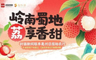 國足行李多疑，開箱解惑封面評