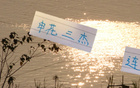 申花三杰連發(fā)，俄帥壓力倍增！
