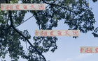 夏窗收官，四隊顯高級風(fēng)范。