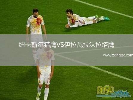 紐卡斯?fàn)柅C鷹VS伊拉瓦拉沃拉塔鷹