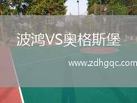 波鴻VS奧格斯堡