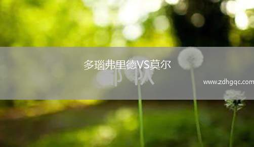 多瑙弗里德VS莫爾
