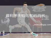 普利茅夫帕克韋VS肖林