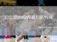 切爾滕納姆VS奇切斯特城