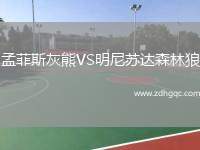 孟菲斯灰熊VS明尼蘇達(dá)森林狼