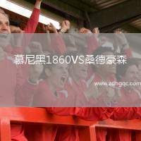 慕尼黑1860VS桑德豪森