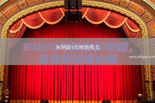 米納斯VS博塔弗戈