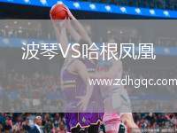 波琴VS哈根鳳凰