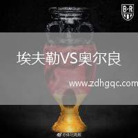 埃夫勒VS奧爾良