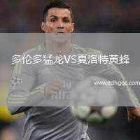 多倫多猛龍VS夏洛特黃蜂