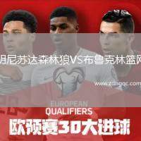 明尼蘇達(dá)森林狼VS布魯克林籃網(wǎng)