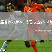 孟菲斯灰熊VS明尼蘇達(dá)森林狼
