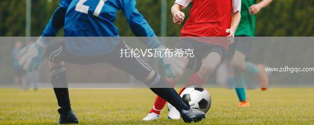 托倫VS瓦布希克