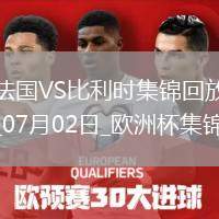 07月02日歐洲杯1/8決賽法國vs比利時(shí)精彩片段
