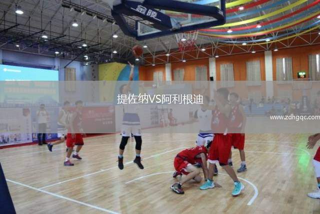 提佐納VS阿利根迪