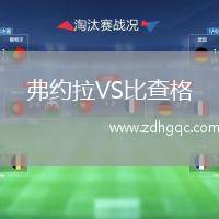 弗約拉VS比查格