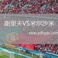 謝里夫VS米爾沙米