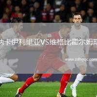 納卡伊利里亞VS維格比霍爾姆斯