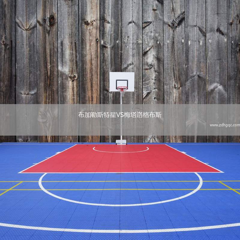 布加勒斯特星VS梅塔洛格布斯