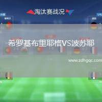 希羅基布里耶格VS波蘇耶
