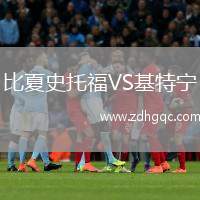 比夏史托福VS基特寧