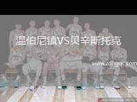 溫伯尼鎮(zhèn)VS貝辛斯托克