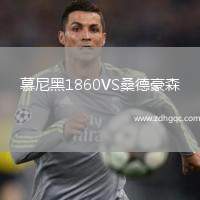 慕尼黑1860VS桑德豪森