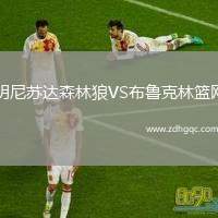 明尼蘇達(dá)森林狼VS布魯克林籃網(wǎng)