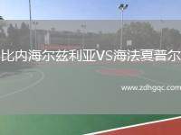 比內(nèi)海爾茲利亞VS海法夏普爾