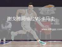 謝戈德阿維拉VS卡馬圭