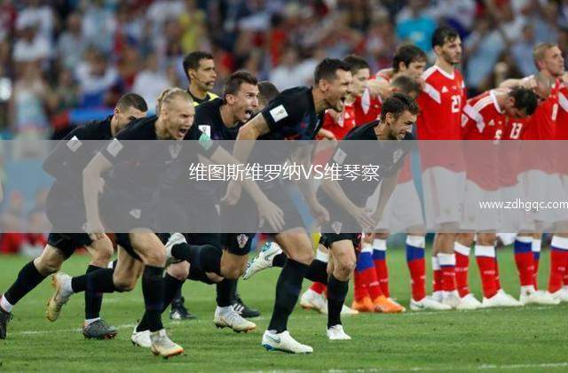 維圖斯維羅納VS維琴察