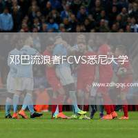 鄧巴流浪者FCVS悉尼大學(xué)
