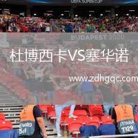 杜博西卡VS塞華諾