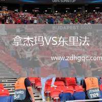拿杰瑪VS東里法