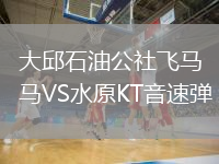 大邱石油公社飛馬VS水原KT音速彈