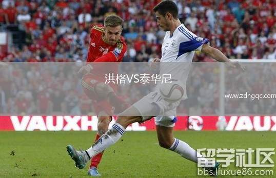 洪格VS泰華尼