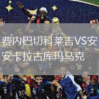費(fèi)內(nèi)巴切科萊吉VS安卡拉古庫瑪馬克