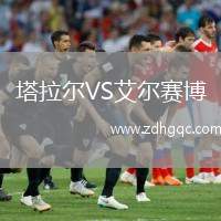 塔拉爾VS艾爾賽博