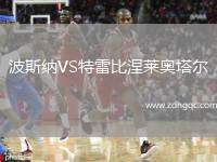 波斯納VS特雷比涅萊奧塔爾