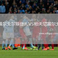 福爾戈爾菲登扎VS帕夫尼富爾戈