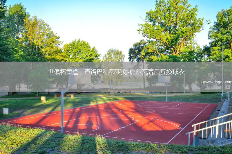 世俱杯重逢，查洛巴和蒂亞戈-席爾瓦賽后互換球衣