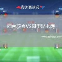 西南駭客VS佩里湖老鷹