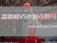 溫德姆VS休姆市野馬