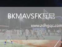 BKMAVSFK瓦尼