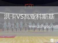 洪卡VS瓦亞科斯基